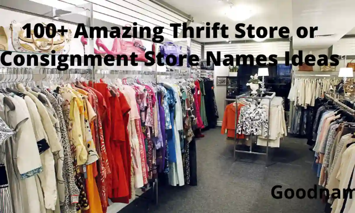 100+ Amazing Thrift Store or Consignment Store Names Ideas Good Name