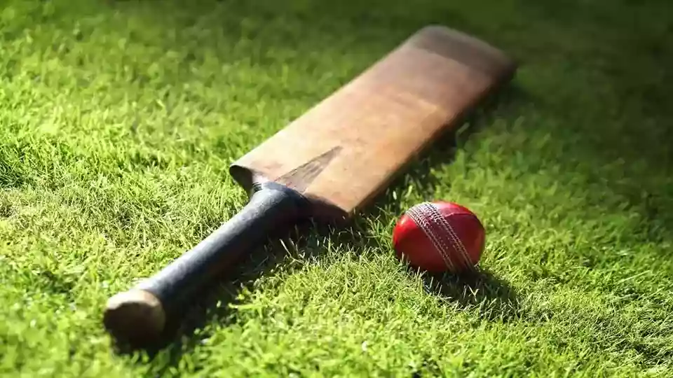 100+ Cricket Team Names For Cricket Tournaments