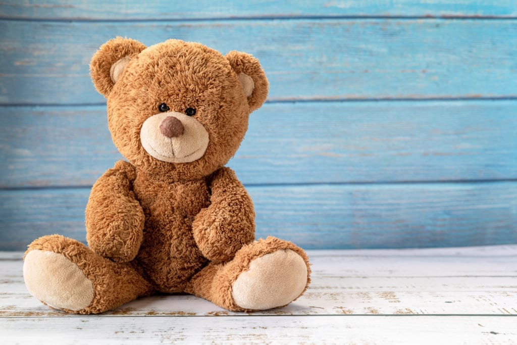 200+ Cute & Catchy Teddy Bear Names