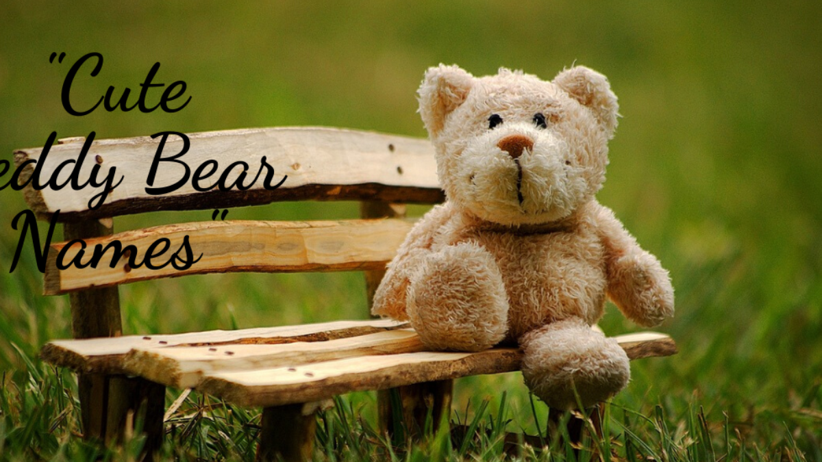 cute names to name your teddy bear