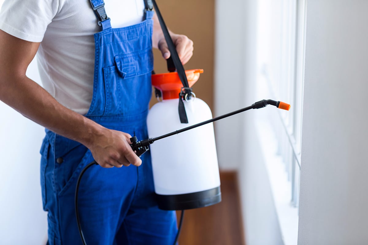The Need for Pest Control Professionals