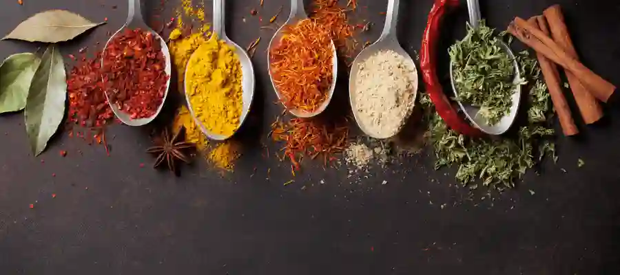 Spices Company Name Ideas & Suggestions