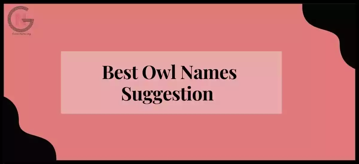 Owl Names