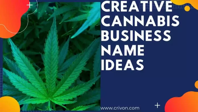 Cannabis Business Names Ideas
