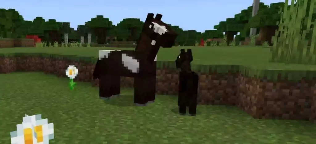 Minecraft texas horse names