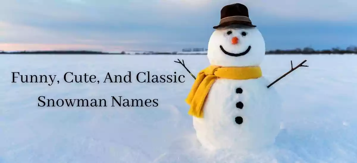 500+ Snowman Names (Cute, Funny, Clever, Famous & More!) - Name Of The Year