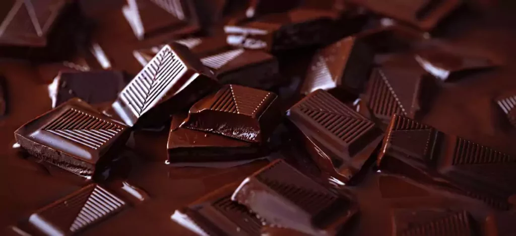Chocolate Company Names