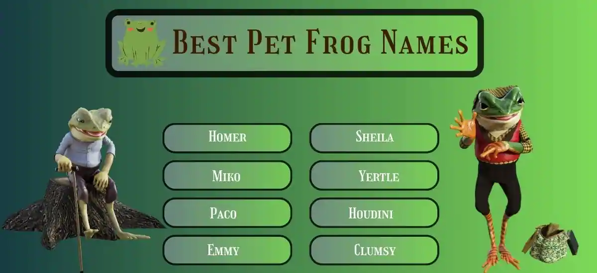 Frog  Name Ideas