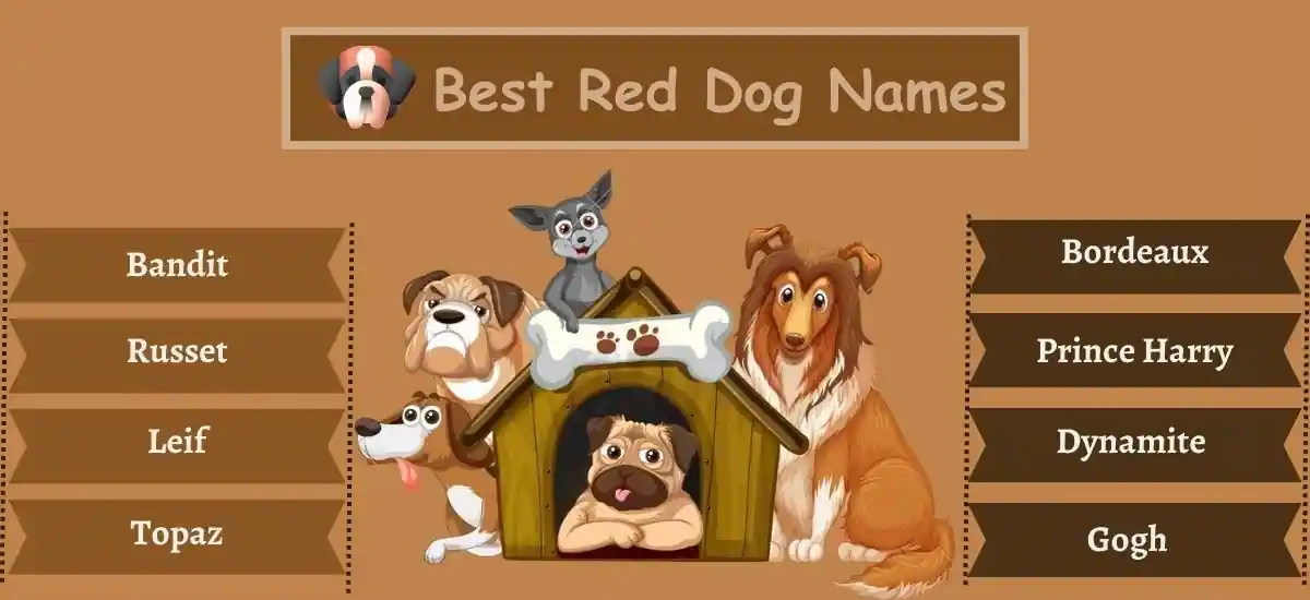 Red Dog Names