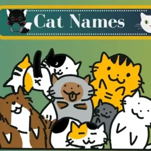 Cat Names 