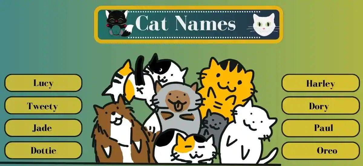 Cat Names 
