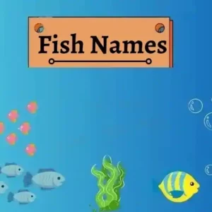 Fish Names