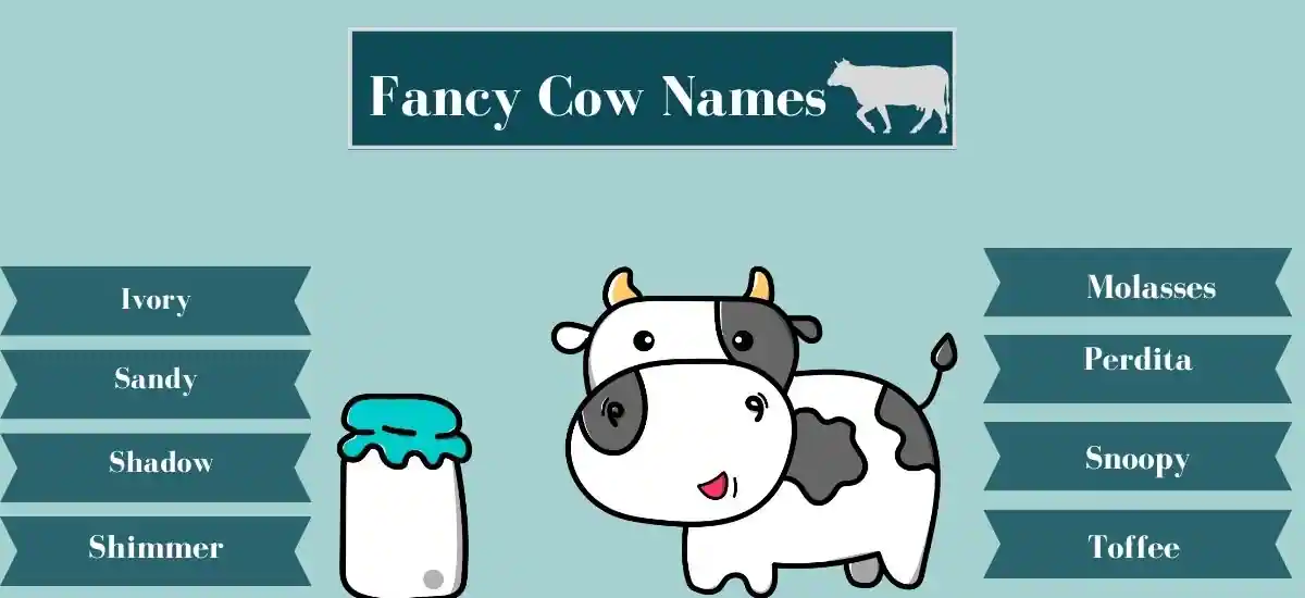  Cow Names