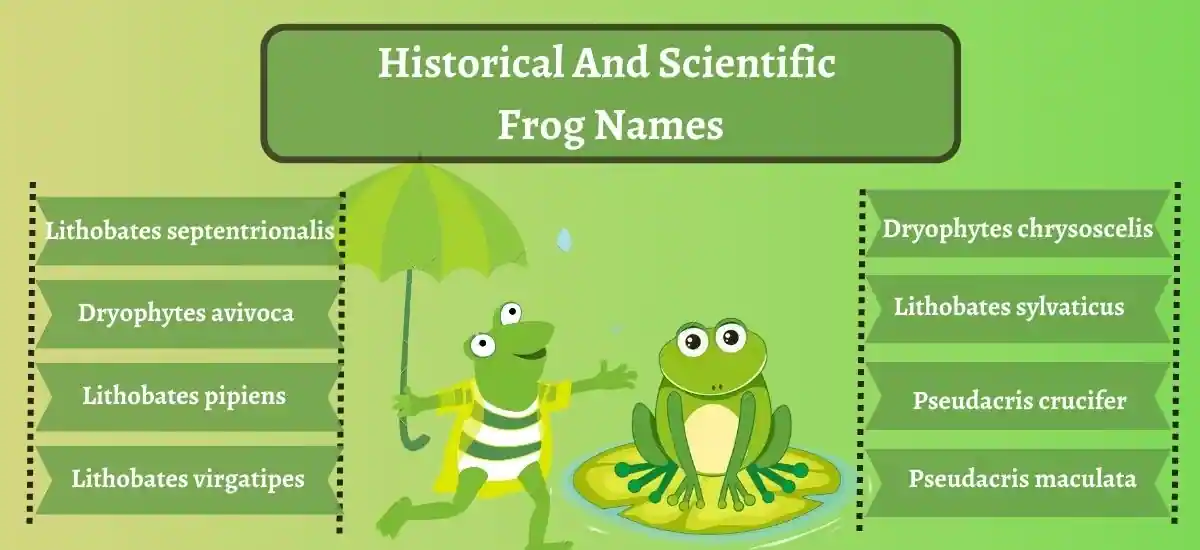 Frog  Name Ideas