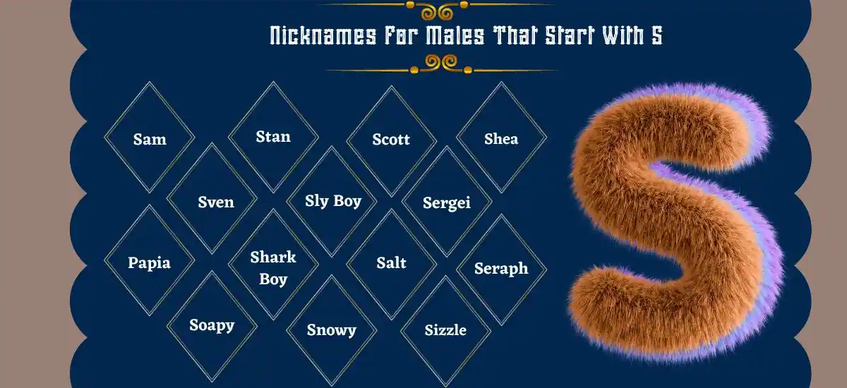 Nicknames For Males That Start With S