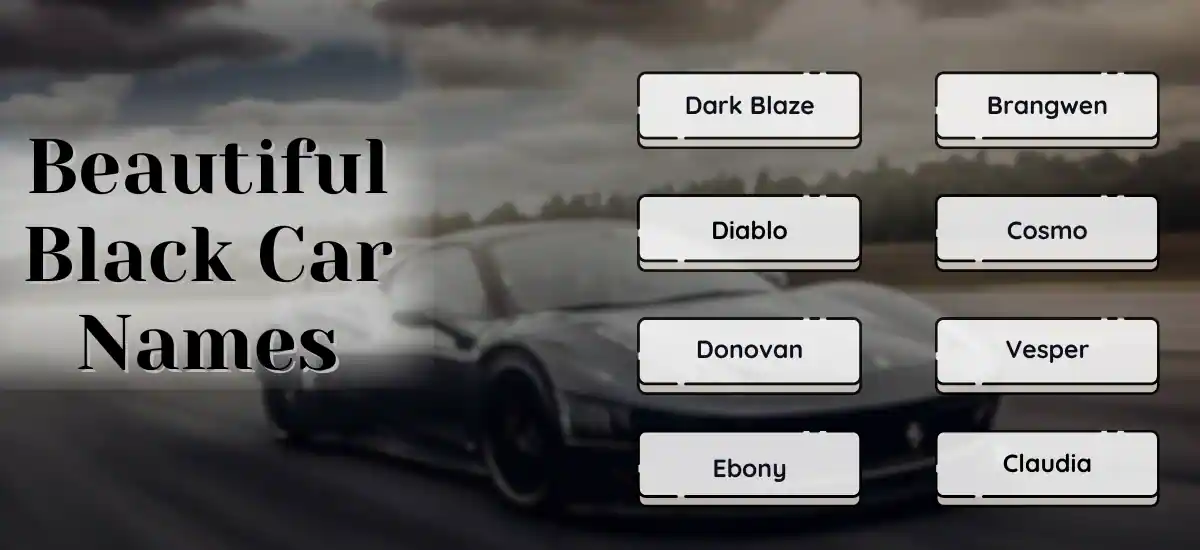 Names For Black Cars