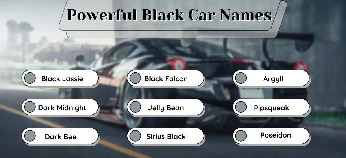 Names For Black Cars