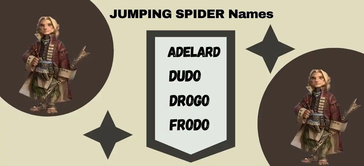 JUMPING SPIDER Names