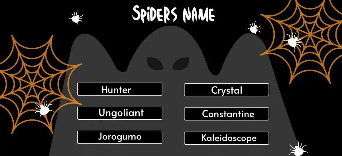 spider names