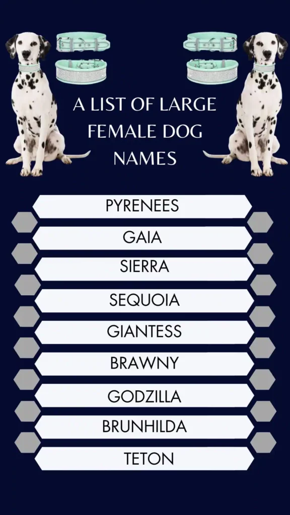 A list Of Large Female Dog Names (1)
