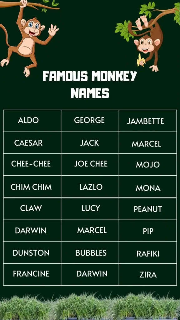 Famous Monkey Names
