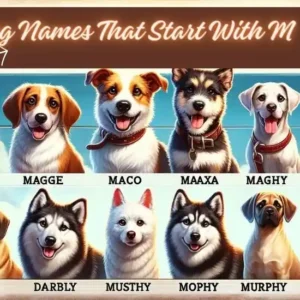 Dog Names That Start With M