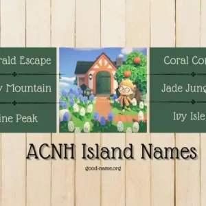 ACNH Island Names