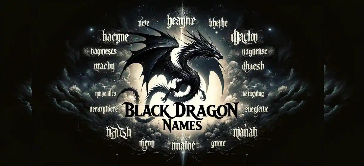 Black Dragon Names